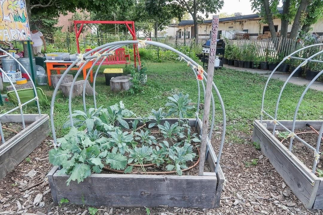 Governors Island Teaching Garden photo 3