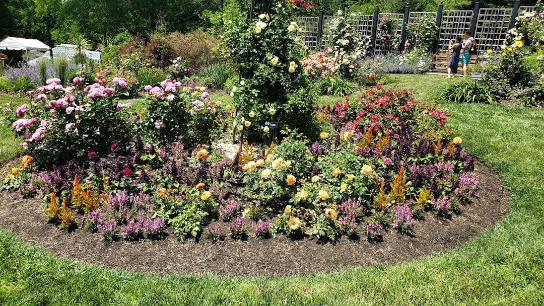 Rose Garden photo 4
