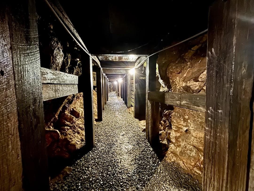 Reed Gold Mine photo 1