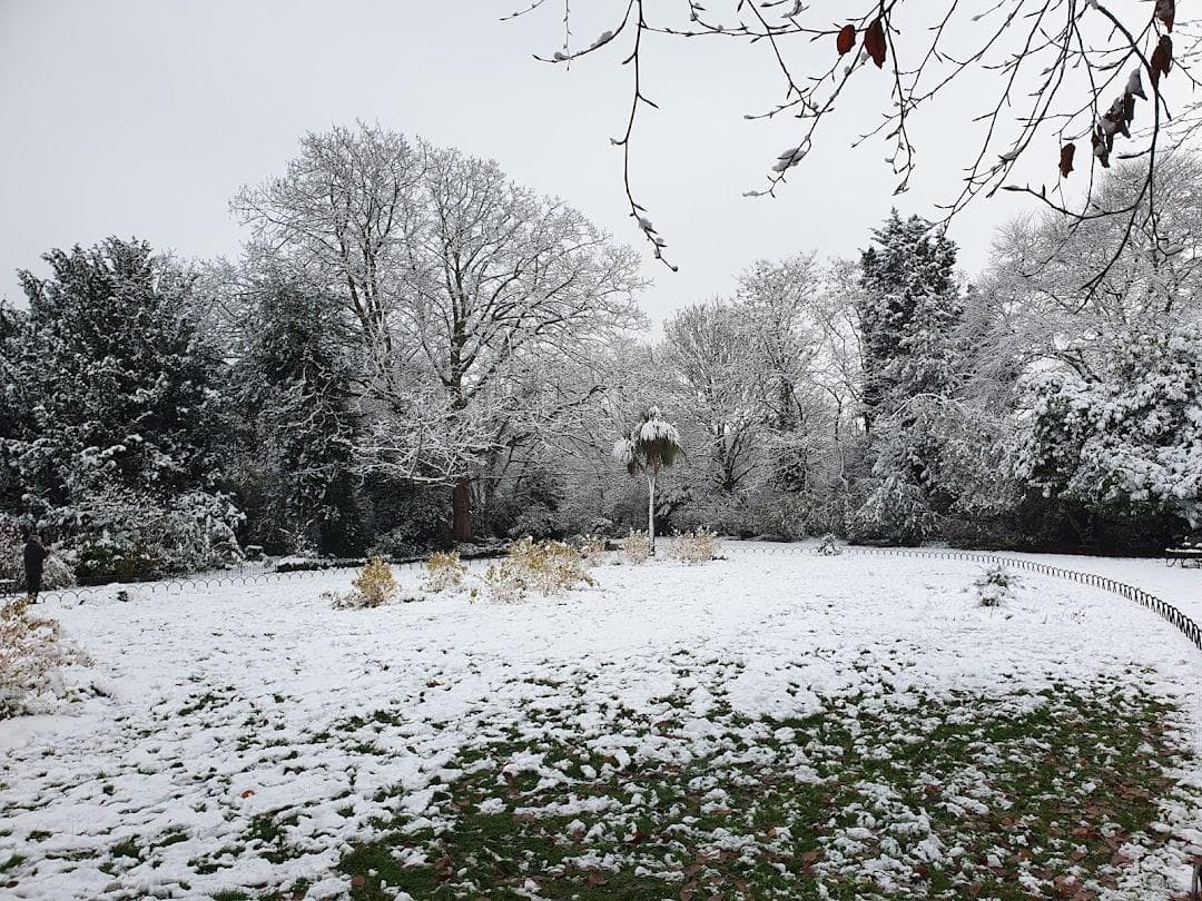 Peckham Rye Park & Common photo 3