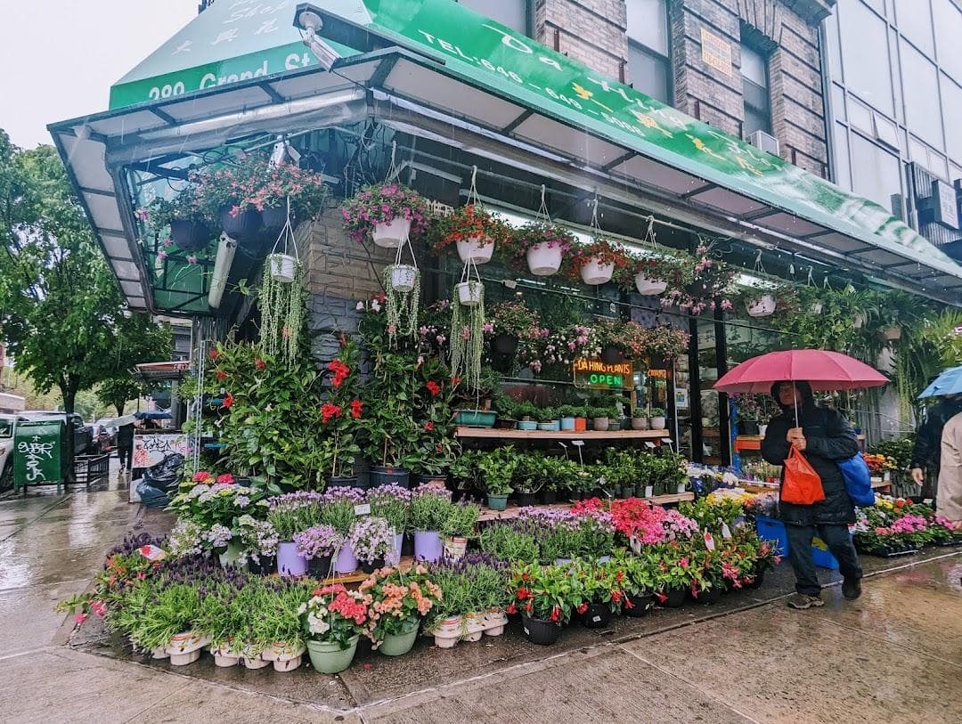 Dahing Plants & Landscaping photo 1