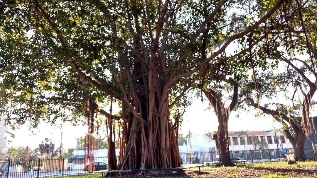 Legion Park photo 4