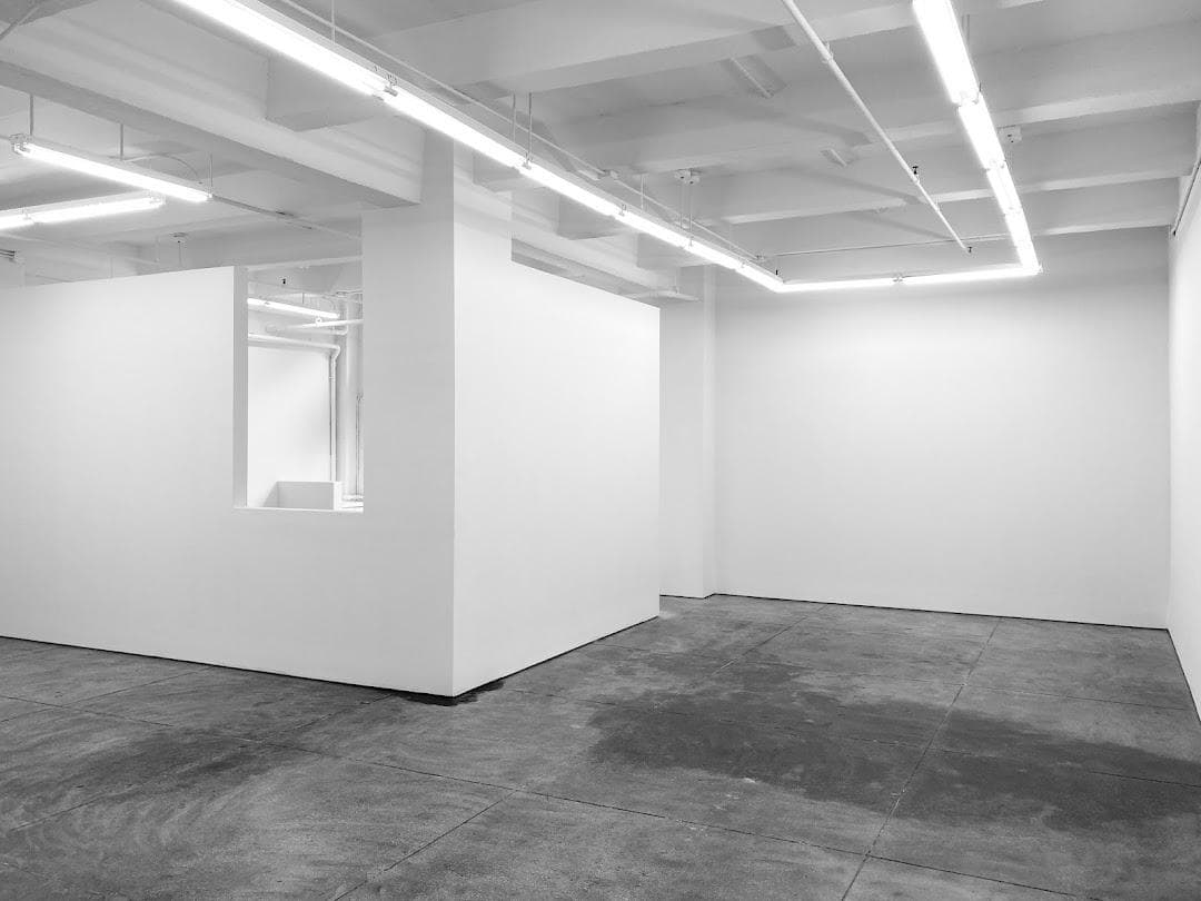 Morgan Lehman Gallery photo 3