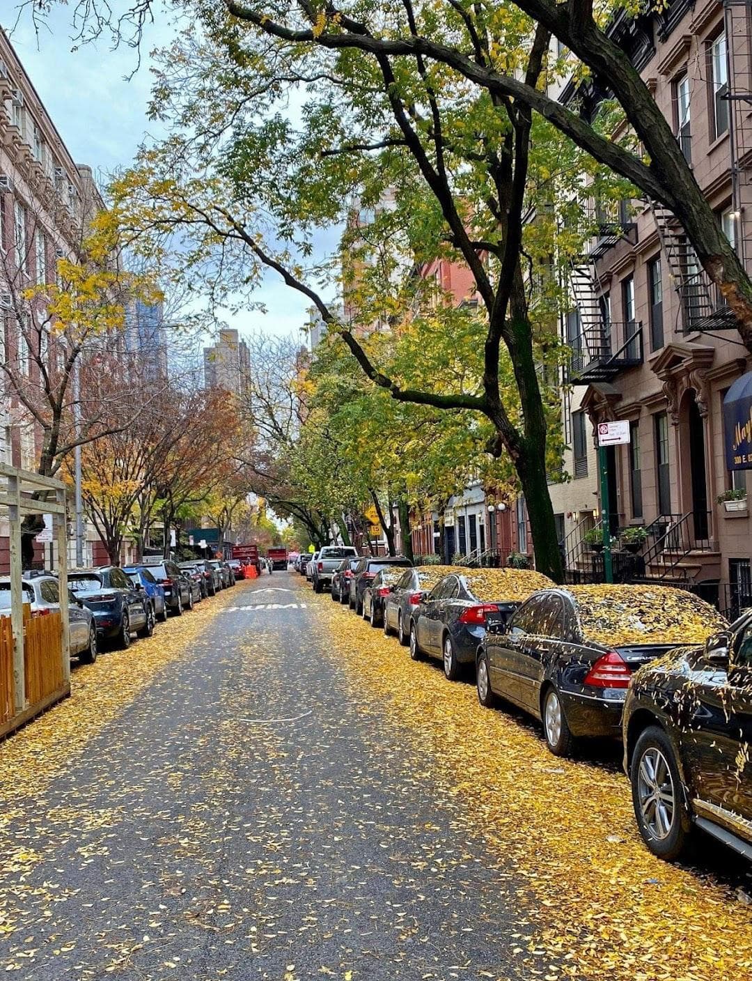East 82nd Street