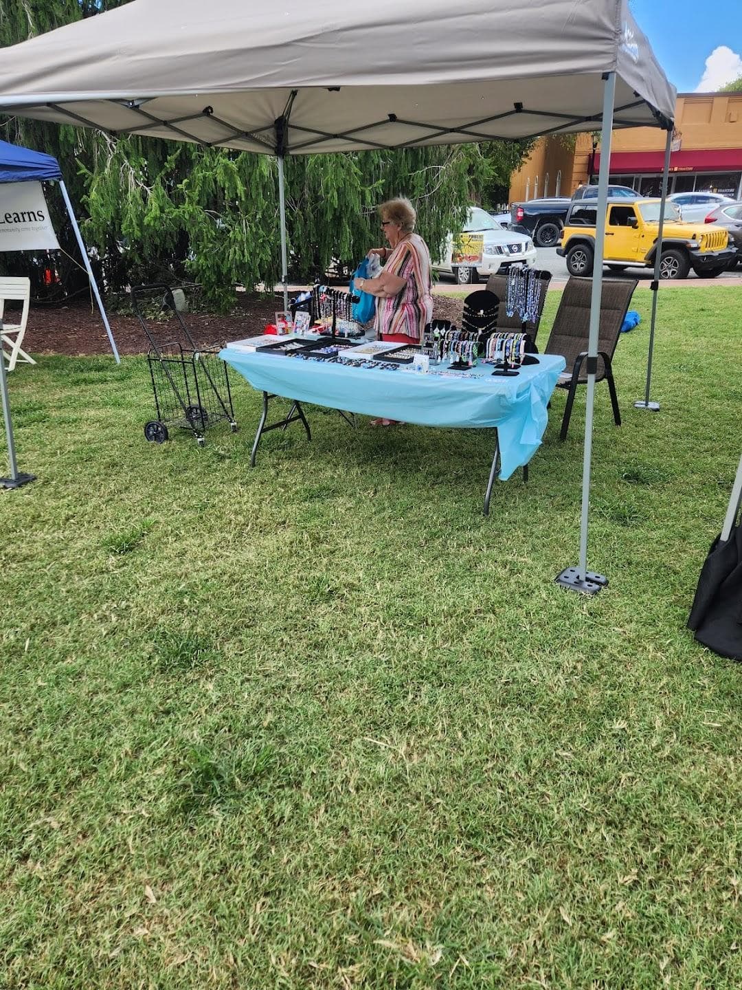 Village Green photo 4