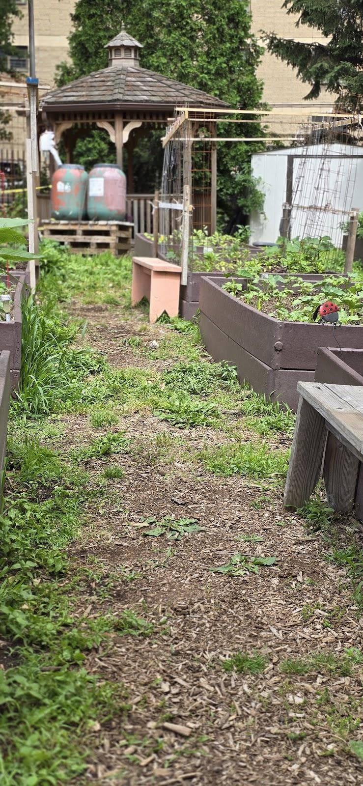 Fred McLeod Community Garden photo 4