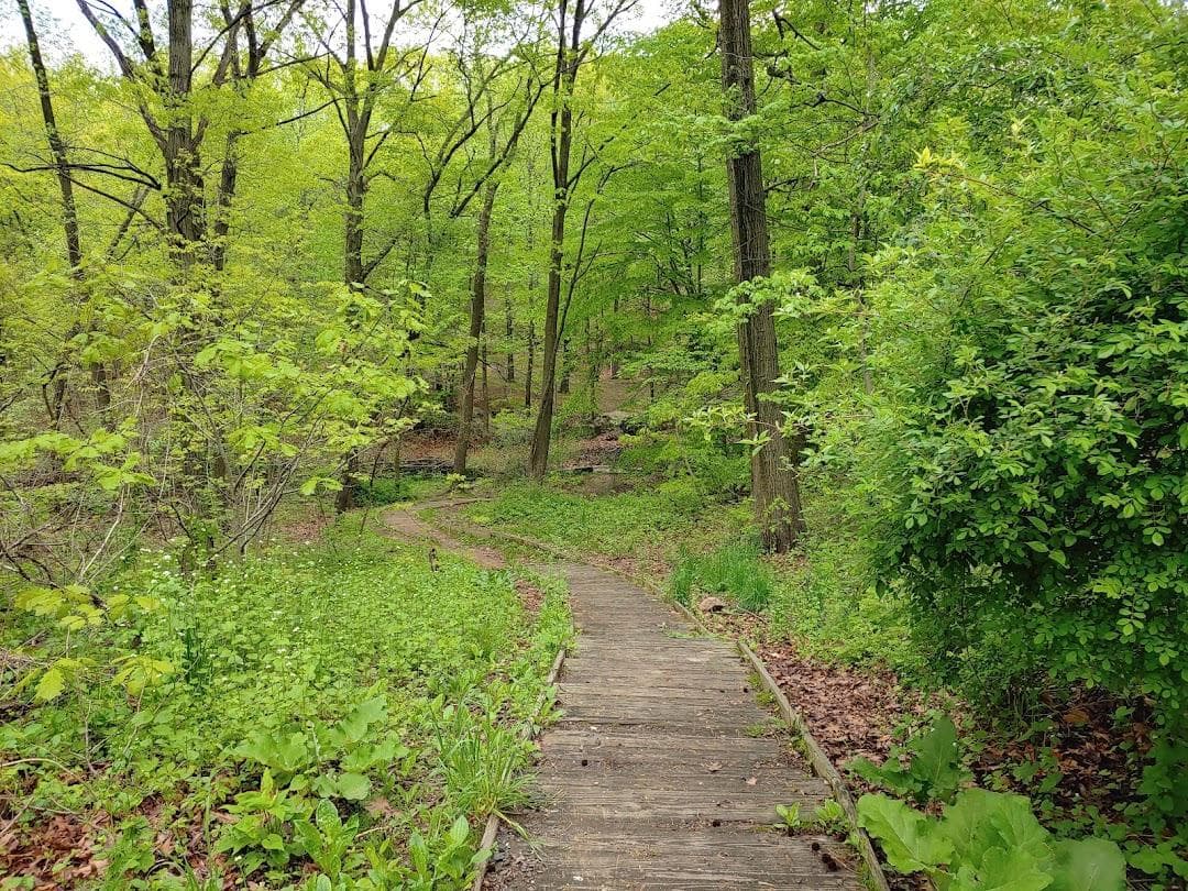Seton Falls Park photo 4