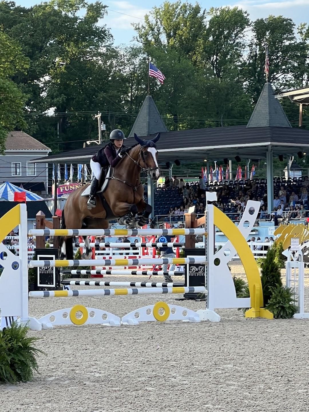 Devon Horse Show & Country Fair and Devon Fall Classic photo 6