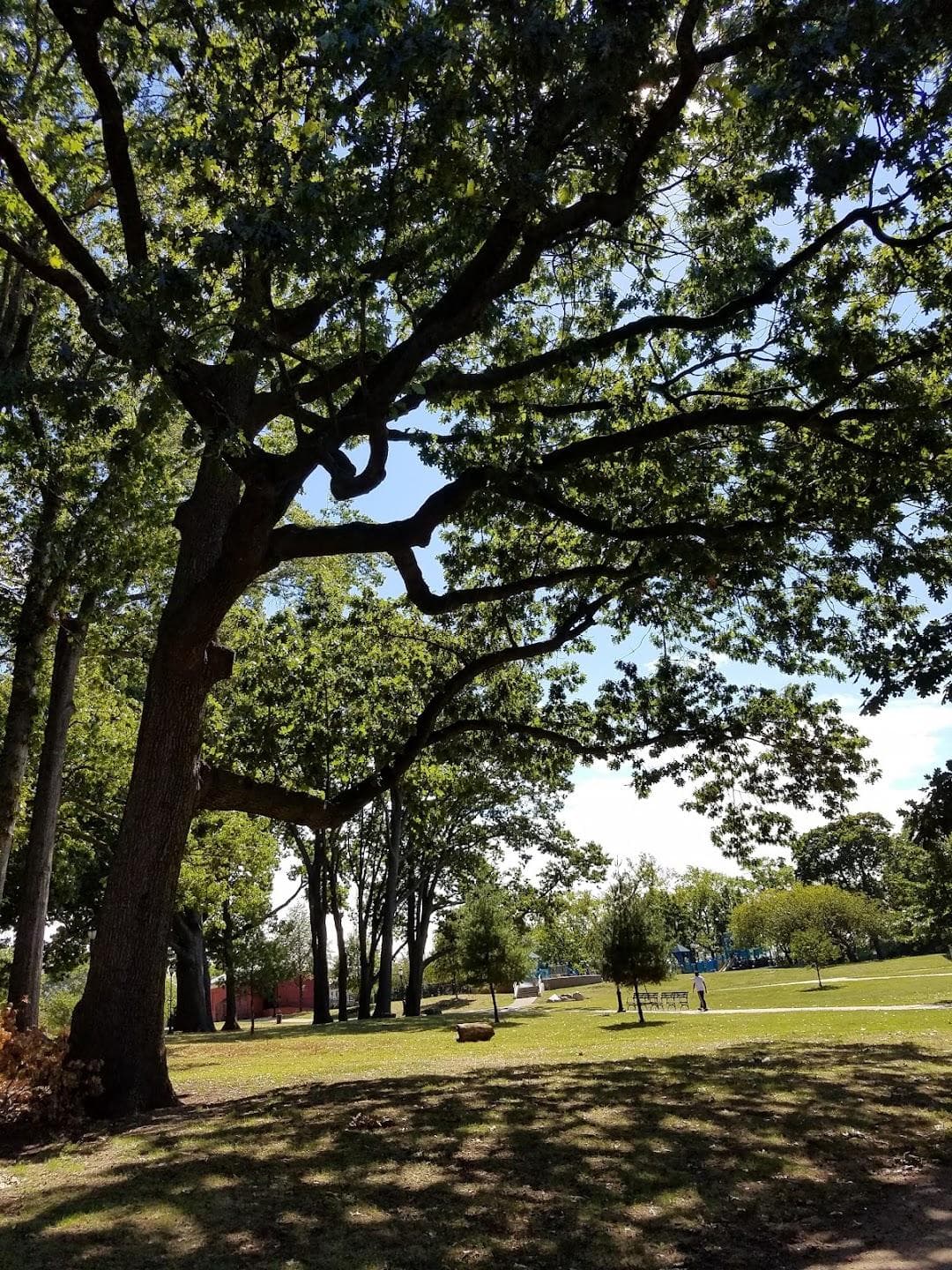 McKinley Park photo 5