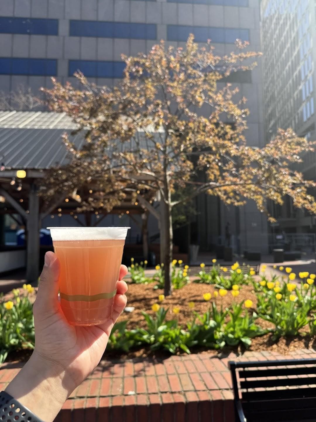 Democracy Brewing Beer Garden photo 4