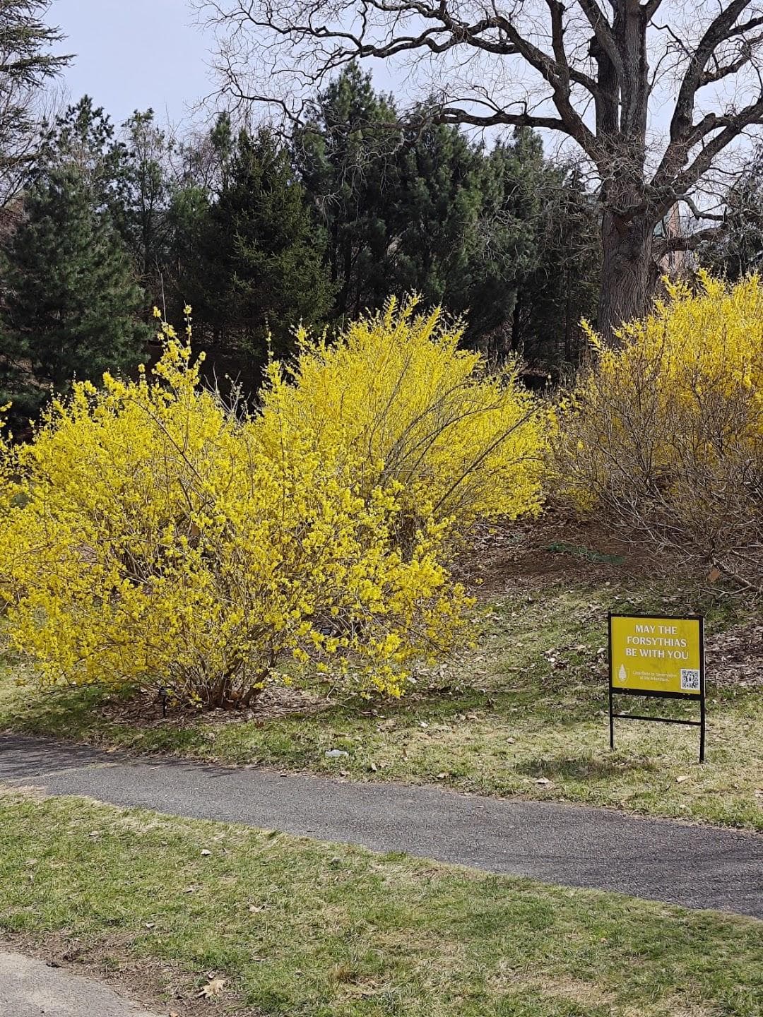 Hunnewell Visitor Center photo 5
