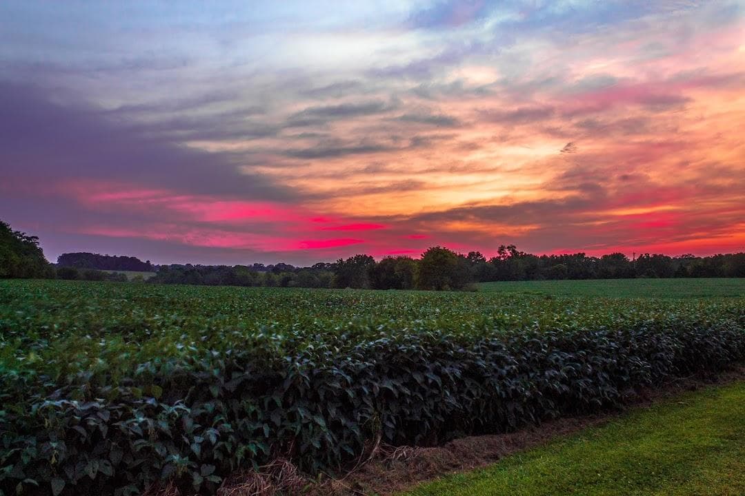 Norristown Farm Park photo 4