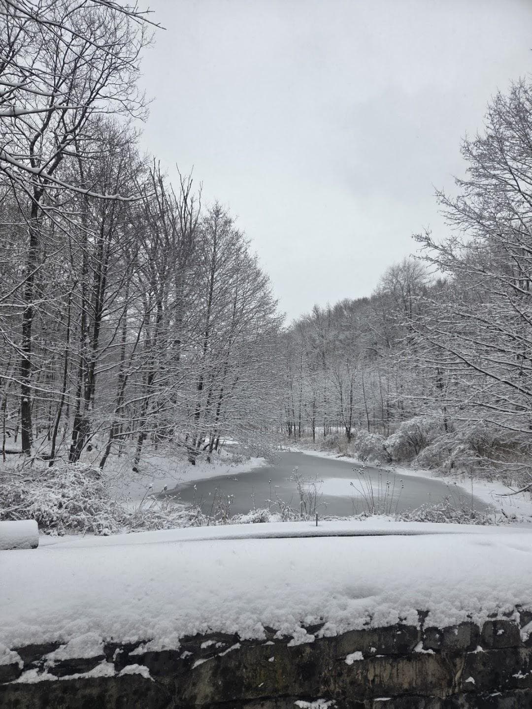 Willowbrook Parkway photo 5