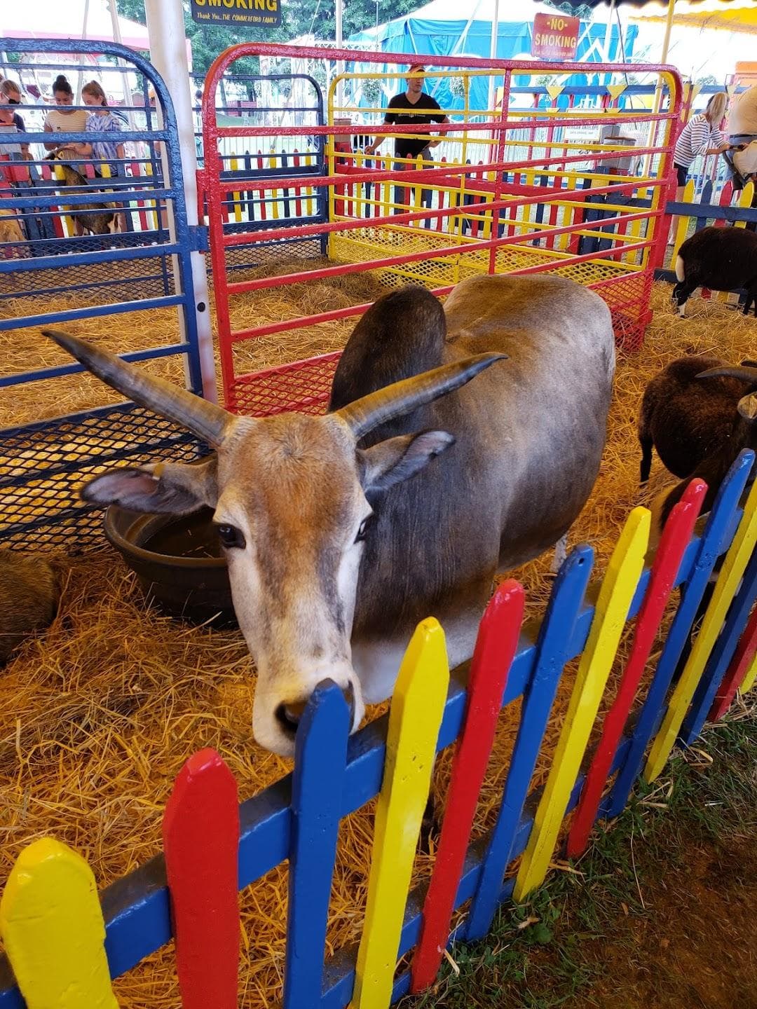 The Sussex County Fairgrounds photo 1