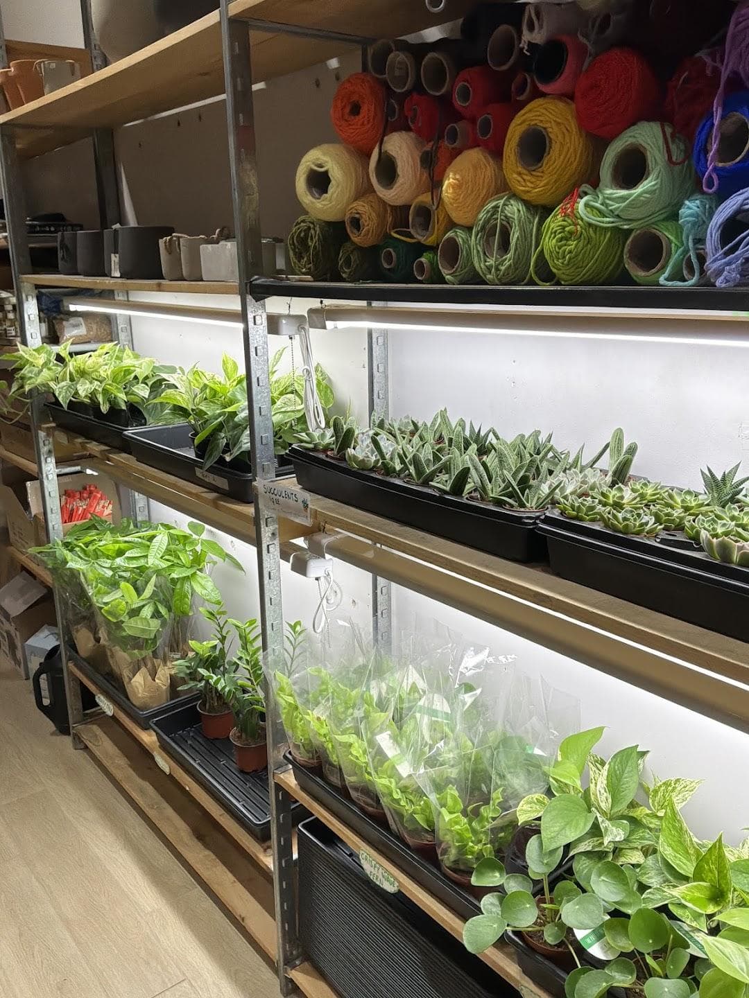 Craft Loft (Burlington Mall Store) photo 6