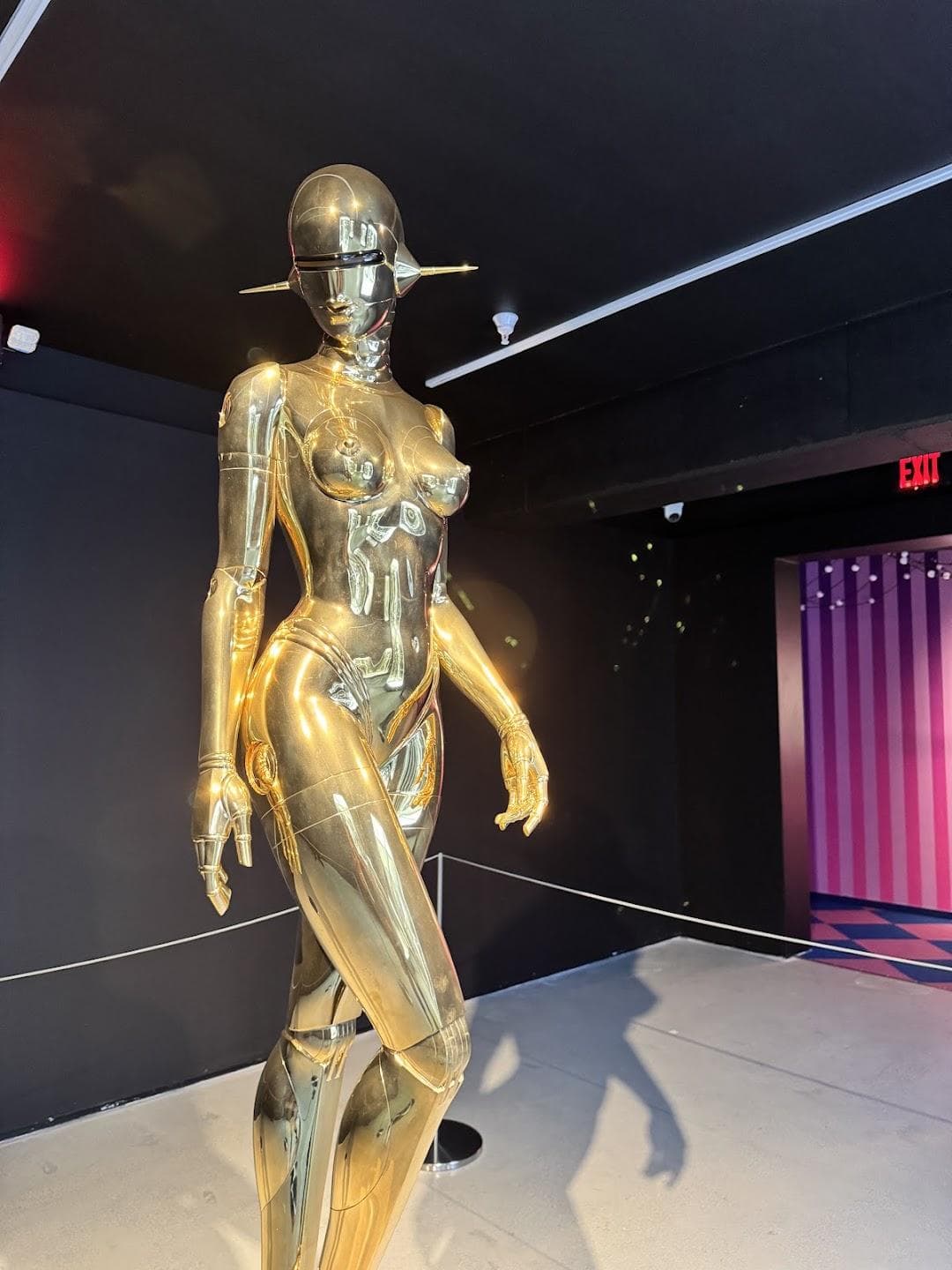 Museum of Sex photo 6