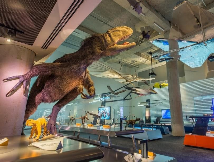Phillip & Patricia Frost Museum of Science photo 5
