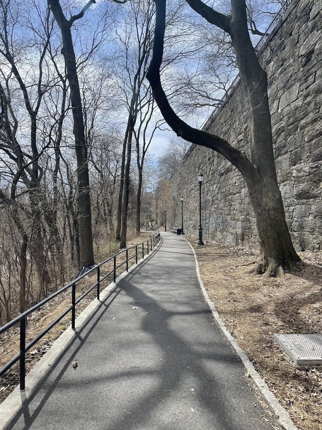 Jackie Robinson Park photo 5