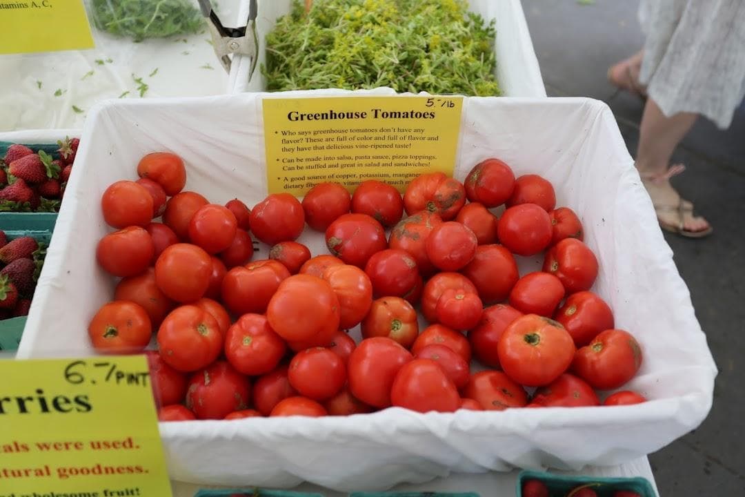 Tribeca Greenmarket photo 1