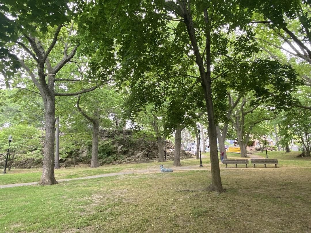 Nathan Tufts Park photo 3