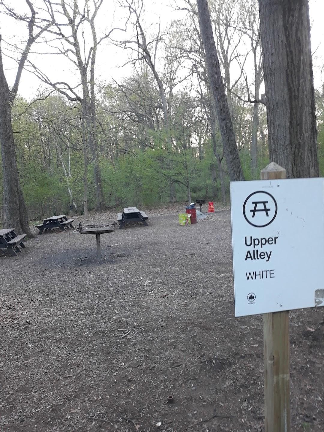 Alley Pond Adventure Course photo 3
