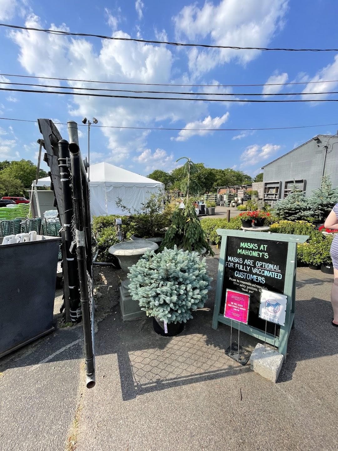 Mahoney's Garden Center photo 3