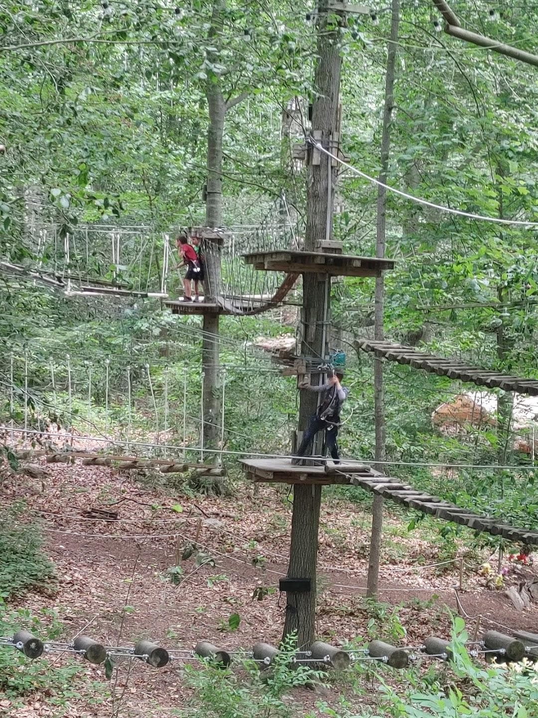 The Adventure Park at the Discovery Museum photo 3