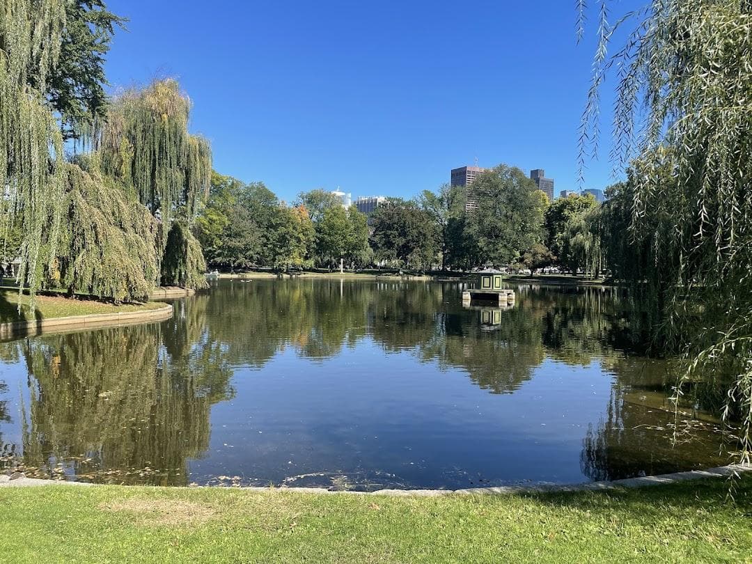 Public Garden photo 1