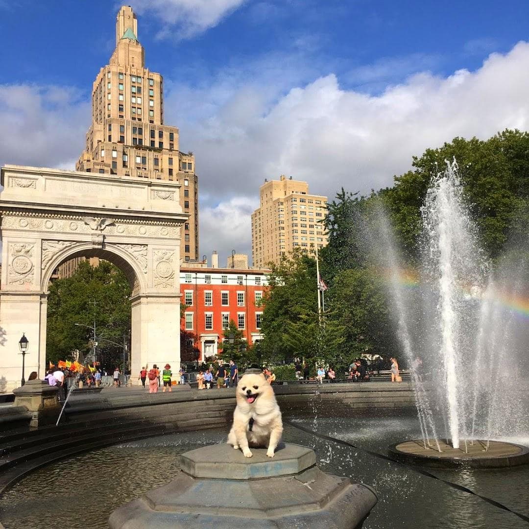 Washington Square Parking photo 5