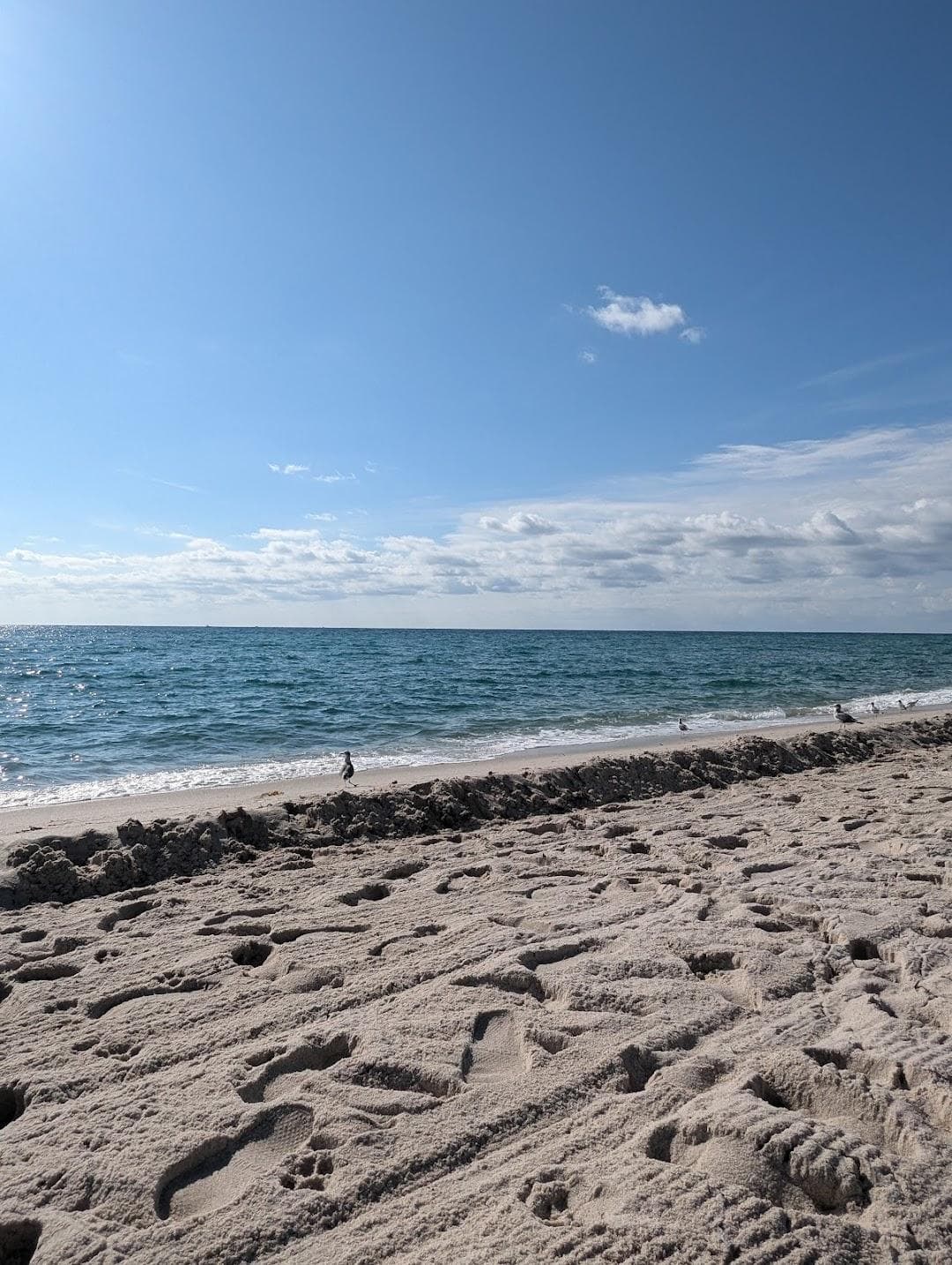 Miami Beach Bandshell photo 5