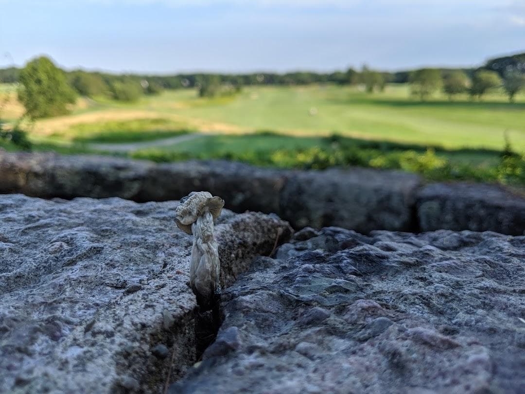 William J. Devine Golf Course at Franklin Park photo 1
