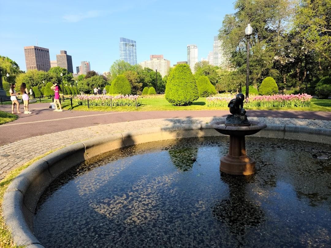 Public Garden photo 2