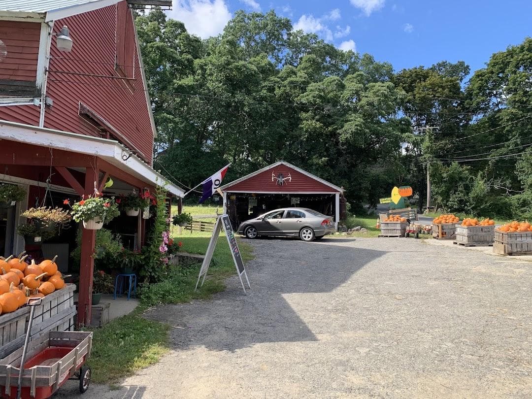 Hanson's Farm photo 4