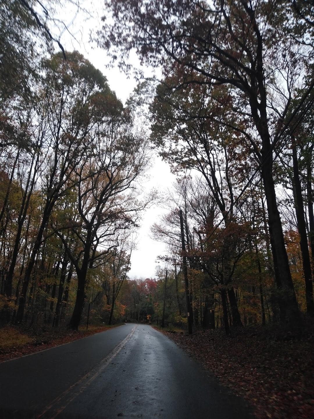 Willowbrook Parkway photo 2