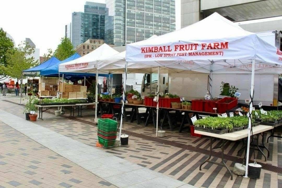 Kimball Fruit Farm photo 5