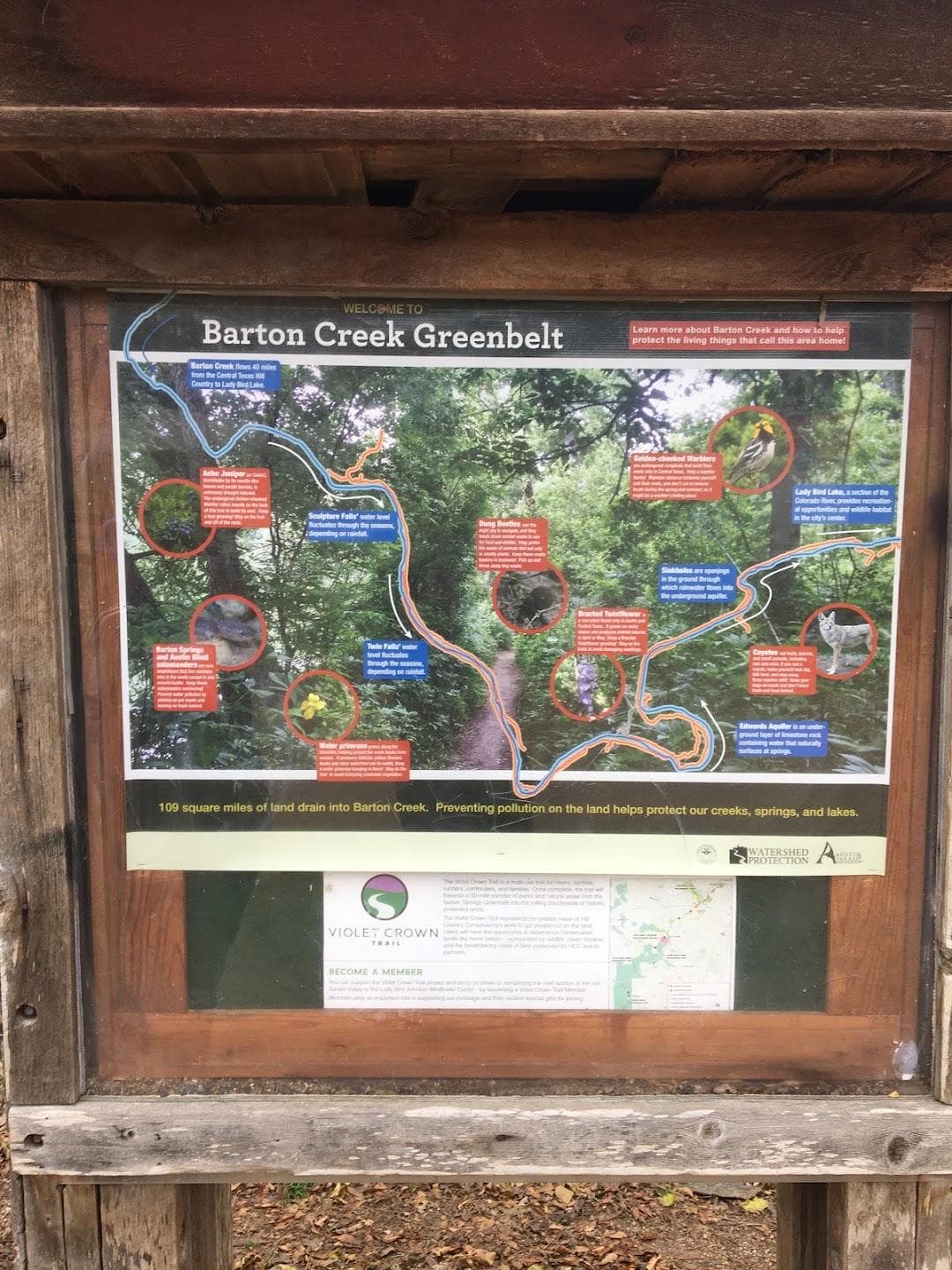 Violet Crown Trail, Zilker Park Trail Head photo 1