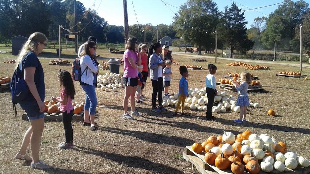 Hunter Farm photo 4