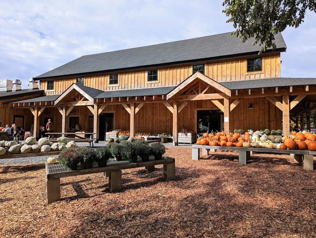 Langwater Farm photo 3