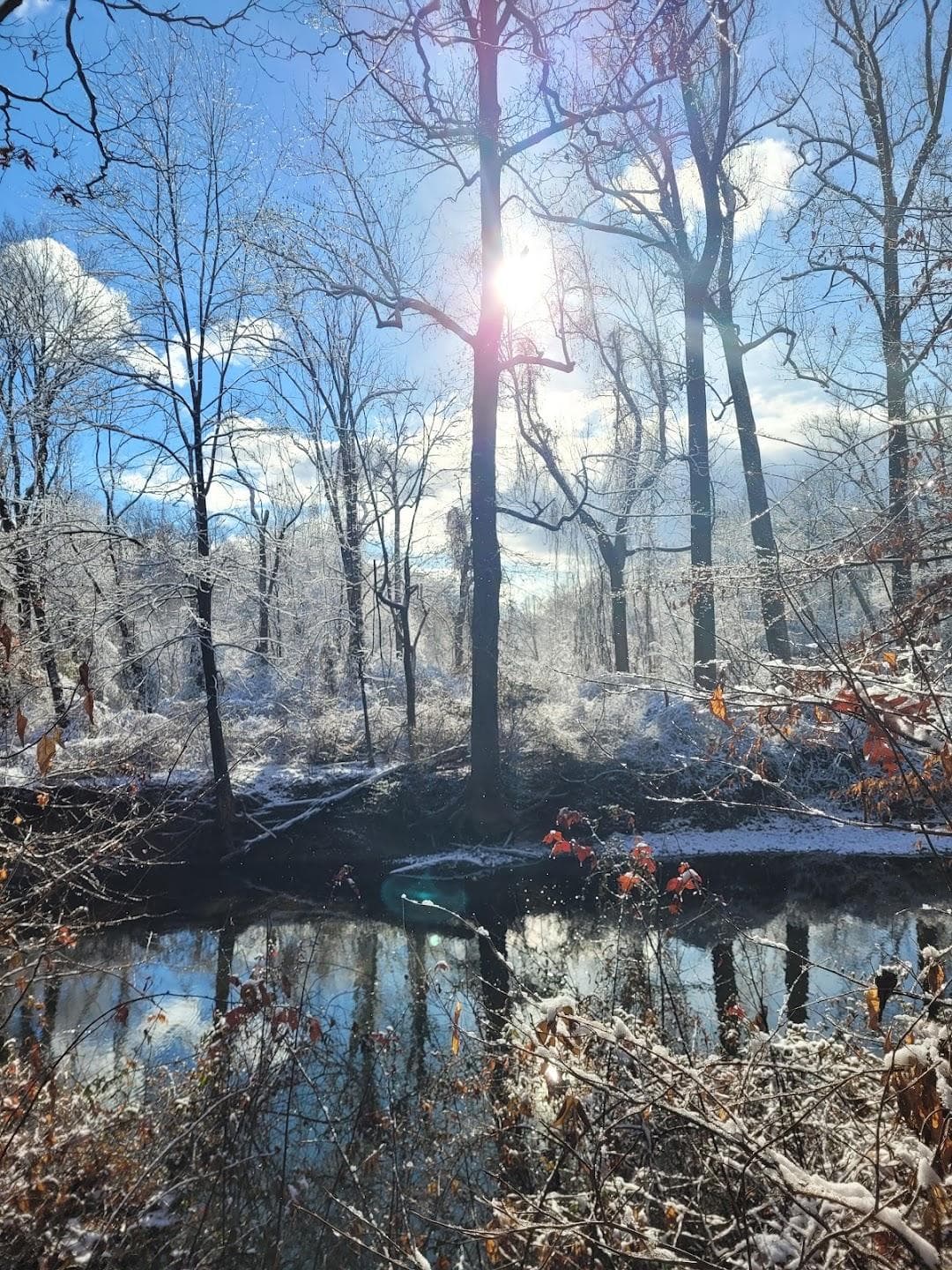 Pennypack Environmental Center photo 5