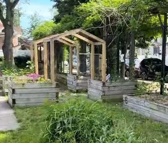 Curtis "50 Cent" Jackson Community Garden photo 3