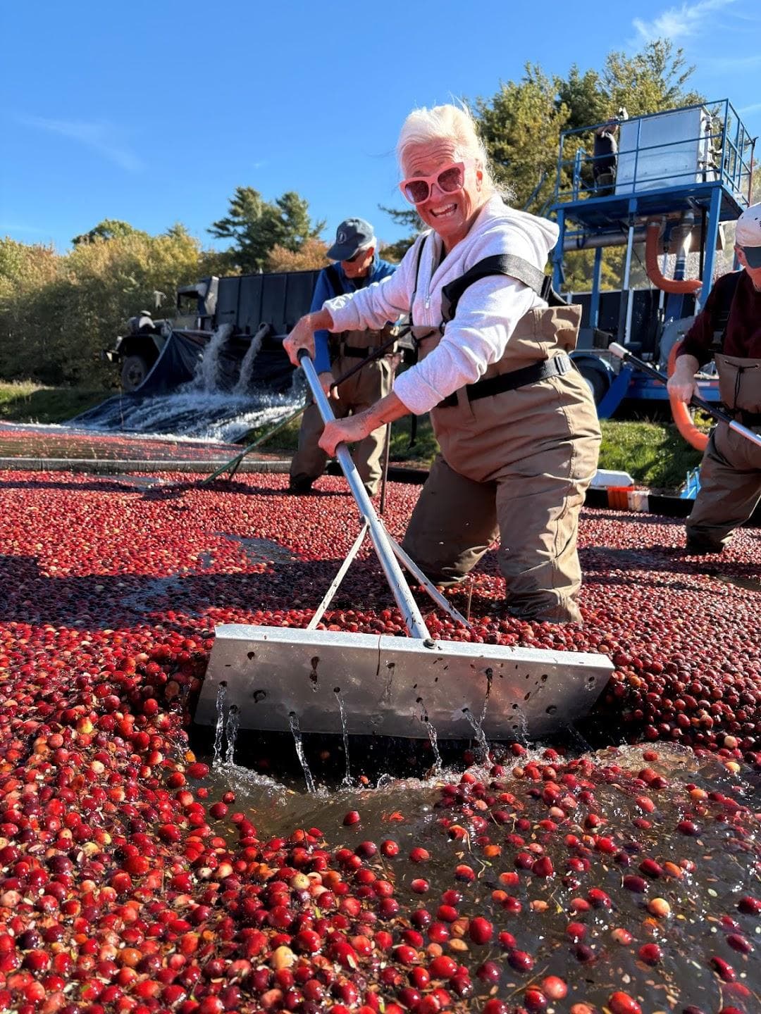 Bensons Pond Cranberries and Barn photo 2