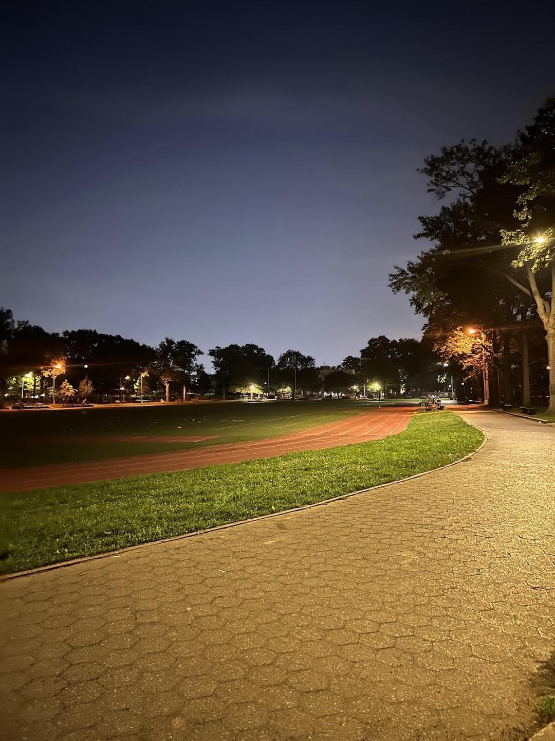Williamsbridge Oval Playground photo 4
