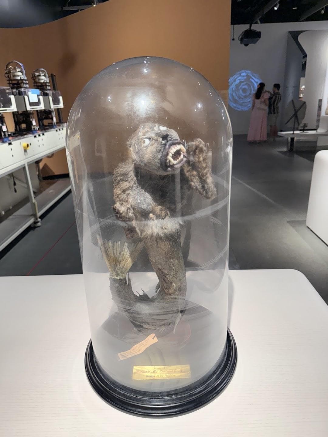 MIT Museum photo 4