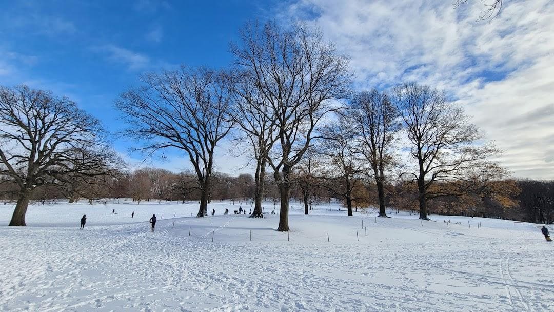 Prospect Park photo 6