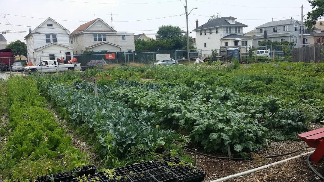 Far Rock Urban Agro Education Center photo 2