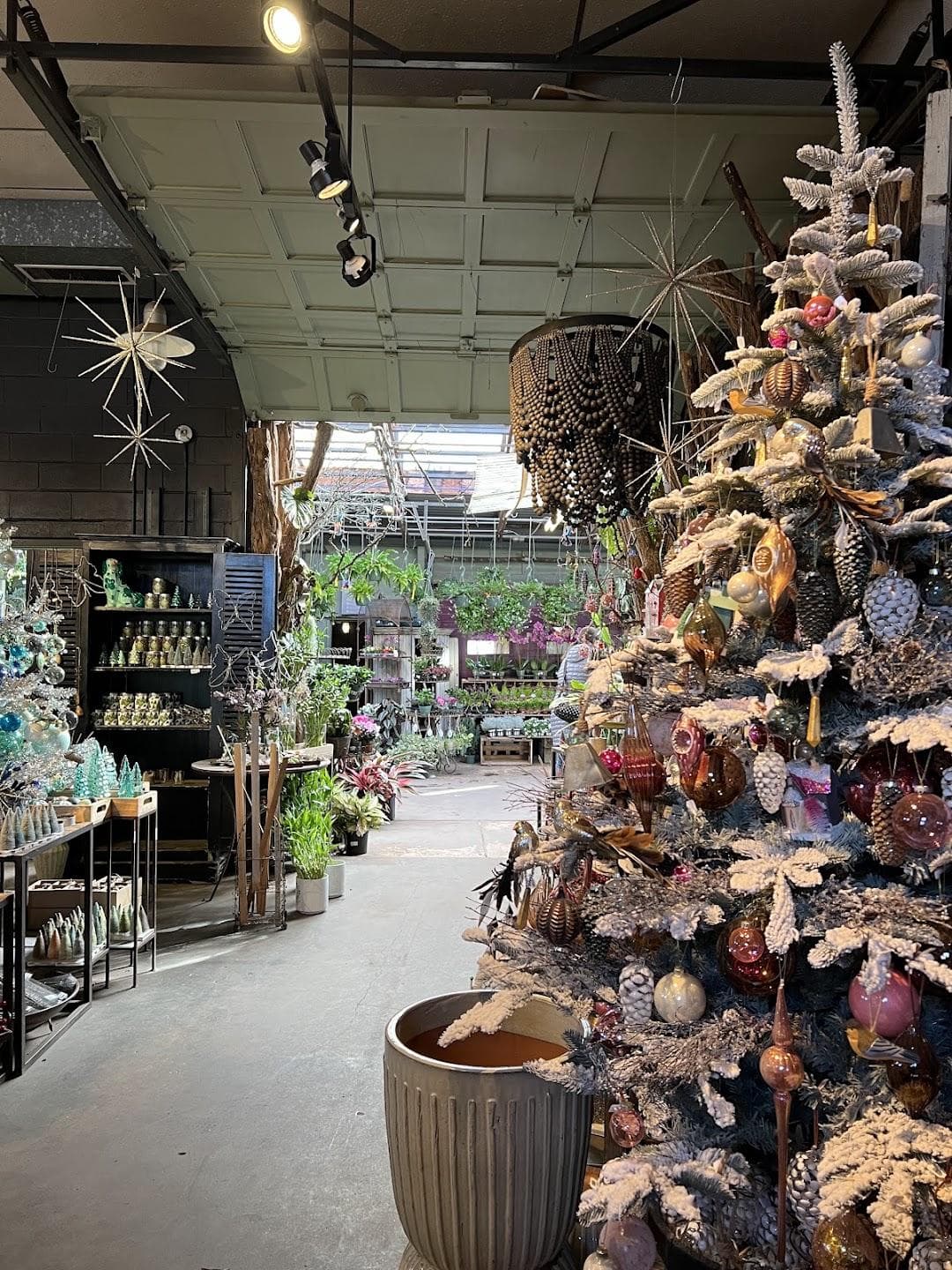 Mahoney's Garden Center photo 6