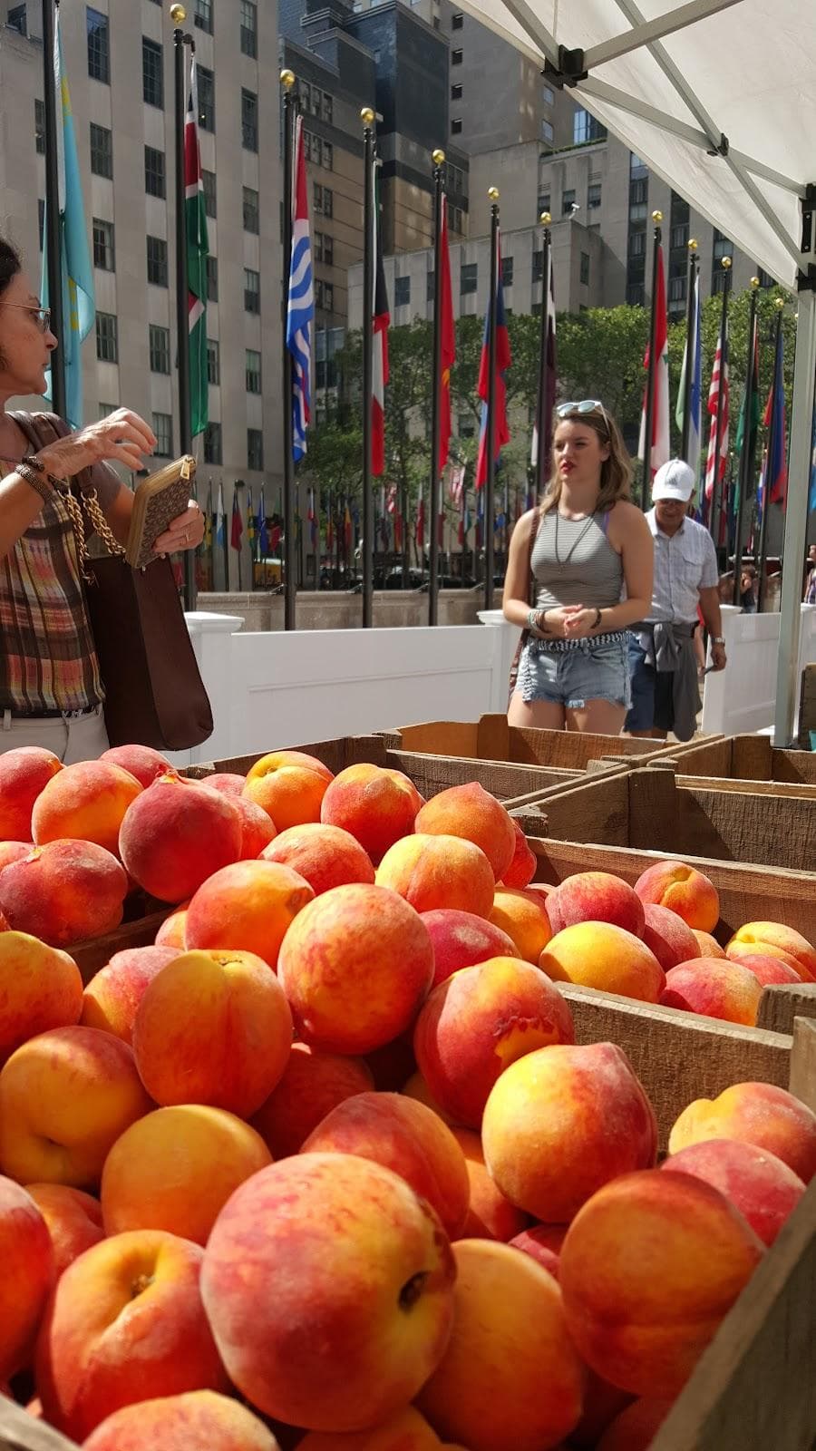 Greenmarket at Rockefeller Center photo 4