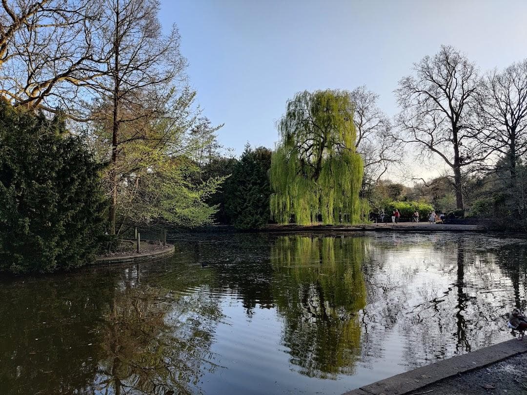 Peckham Rye Park & Common photo 1