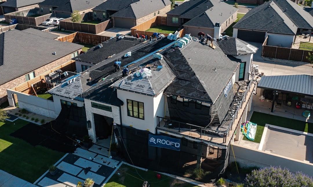 Roof'd photo 3