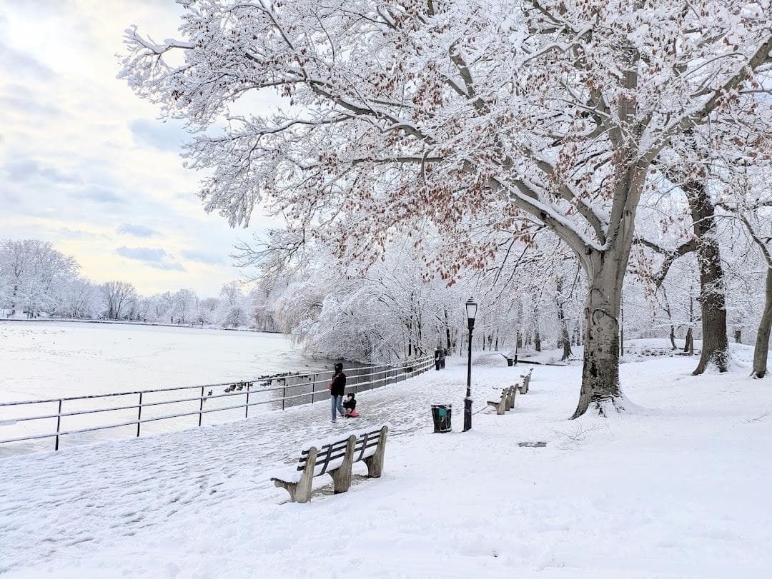 Kissena Park photo 2